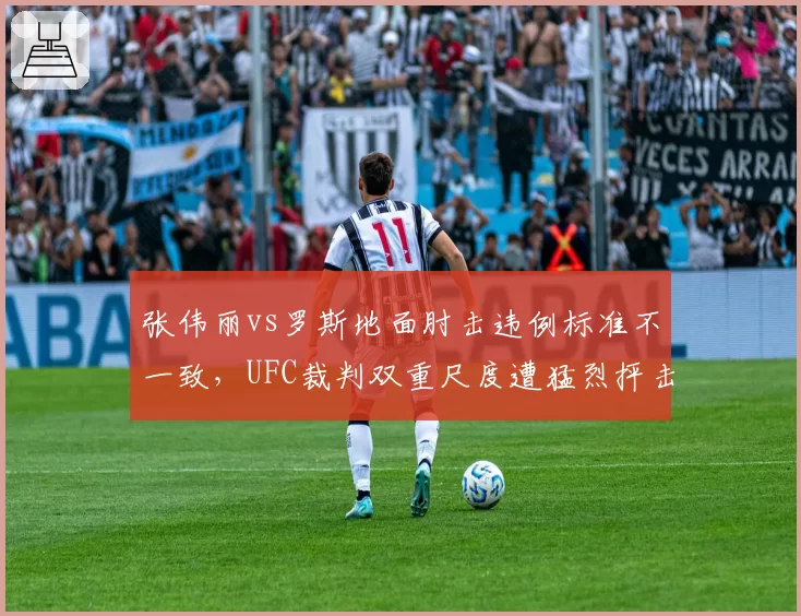 张伟丽vs罗斯地面肘击违例标准不一致，UFC裁判双重尺度遭猛烈抨击