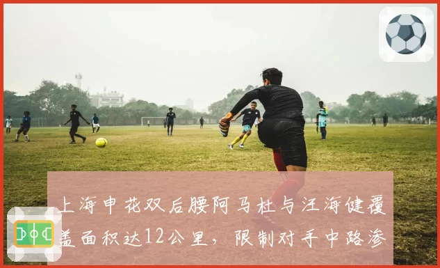 上海申花双后腰阿马杜与汪海健覆盖面积达12公里，限制对手中路渗透